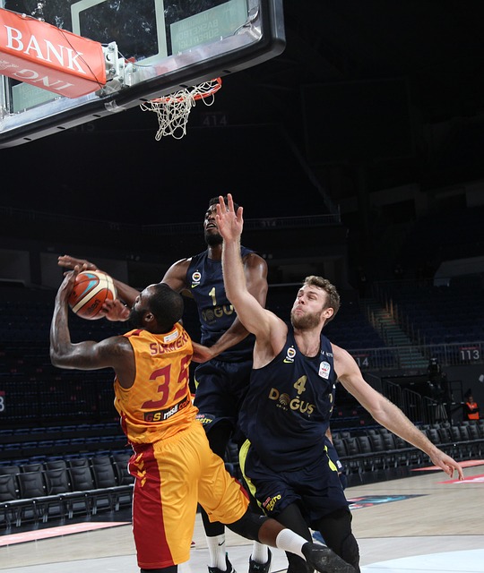 的长期发展 的长期发展