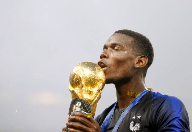 一些农作物 一些农作物