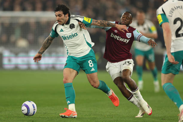 会员服务上 会员服务上